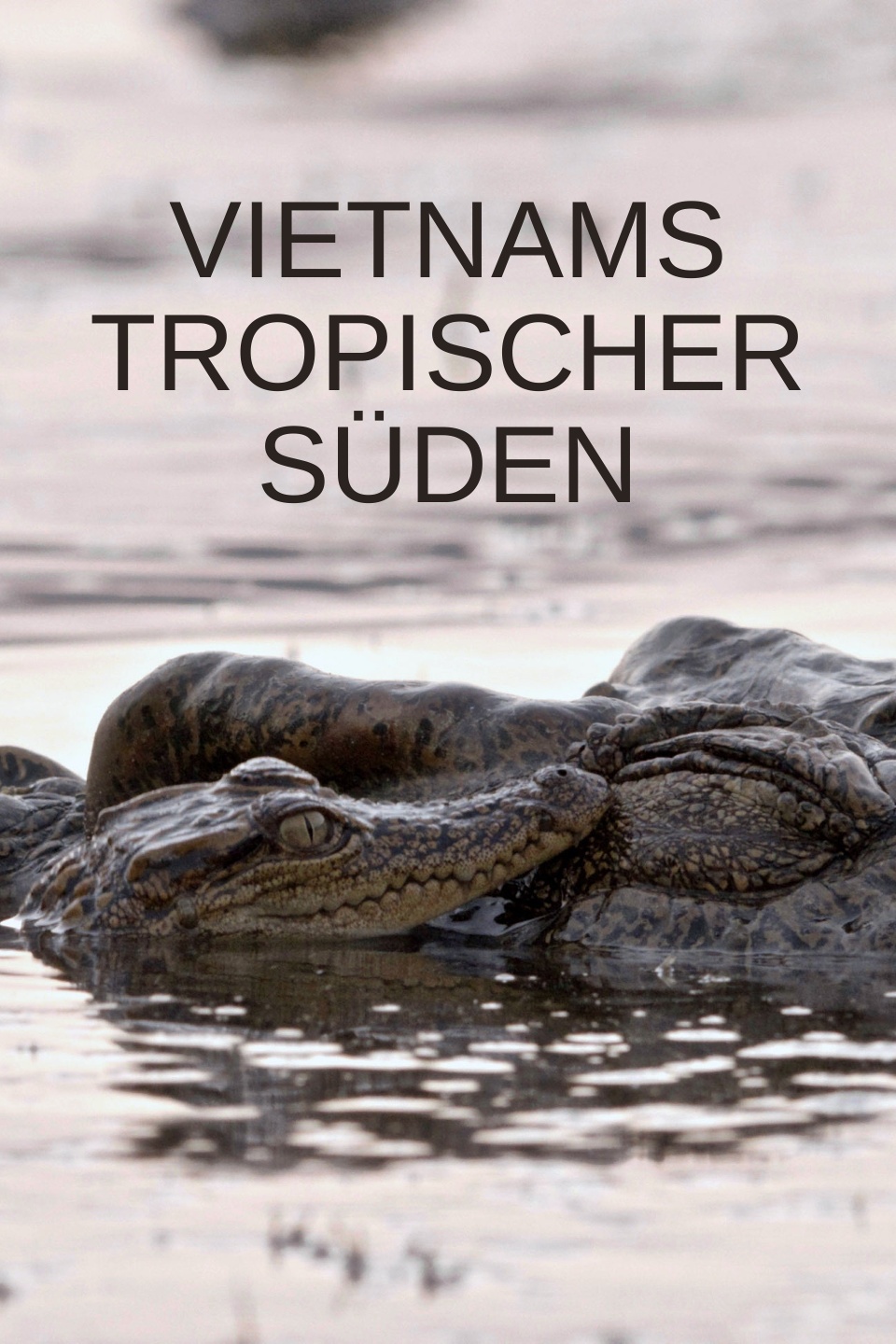 Vietnams tropischer Süden