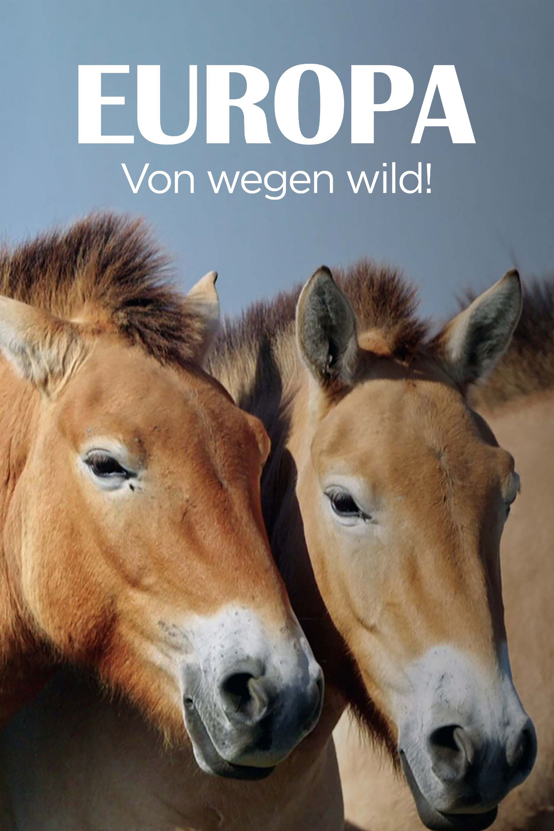 Europa, von wegen wild!