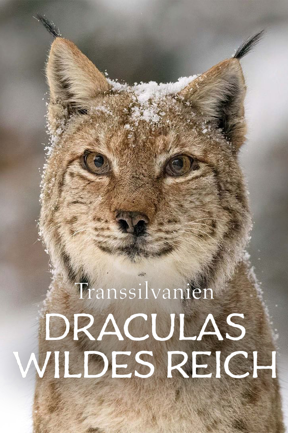 Transsilvanien, Draculas wildes Reich