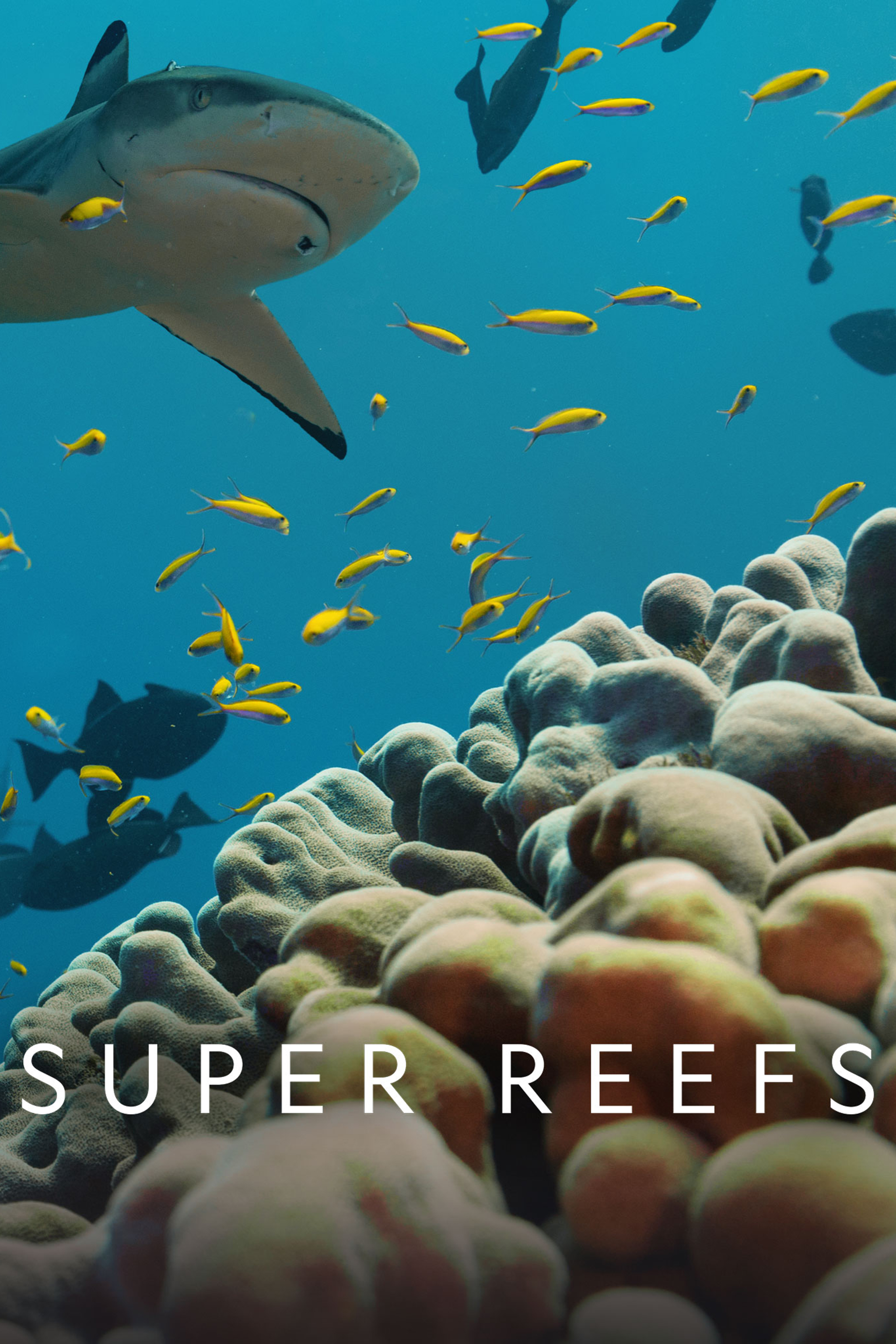 Super Reefs