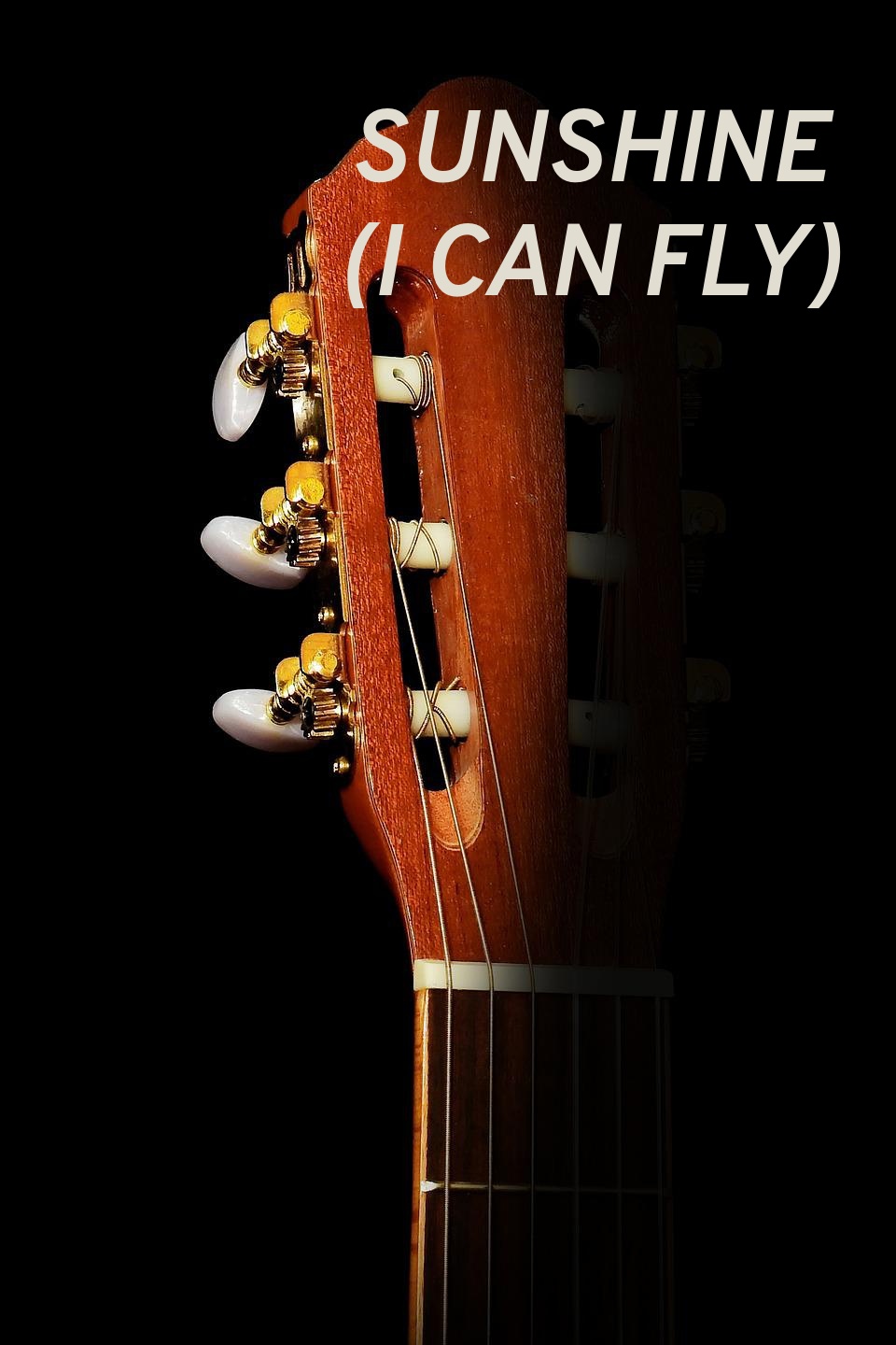 Sunshine (I Can Fly)