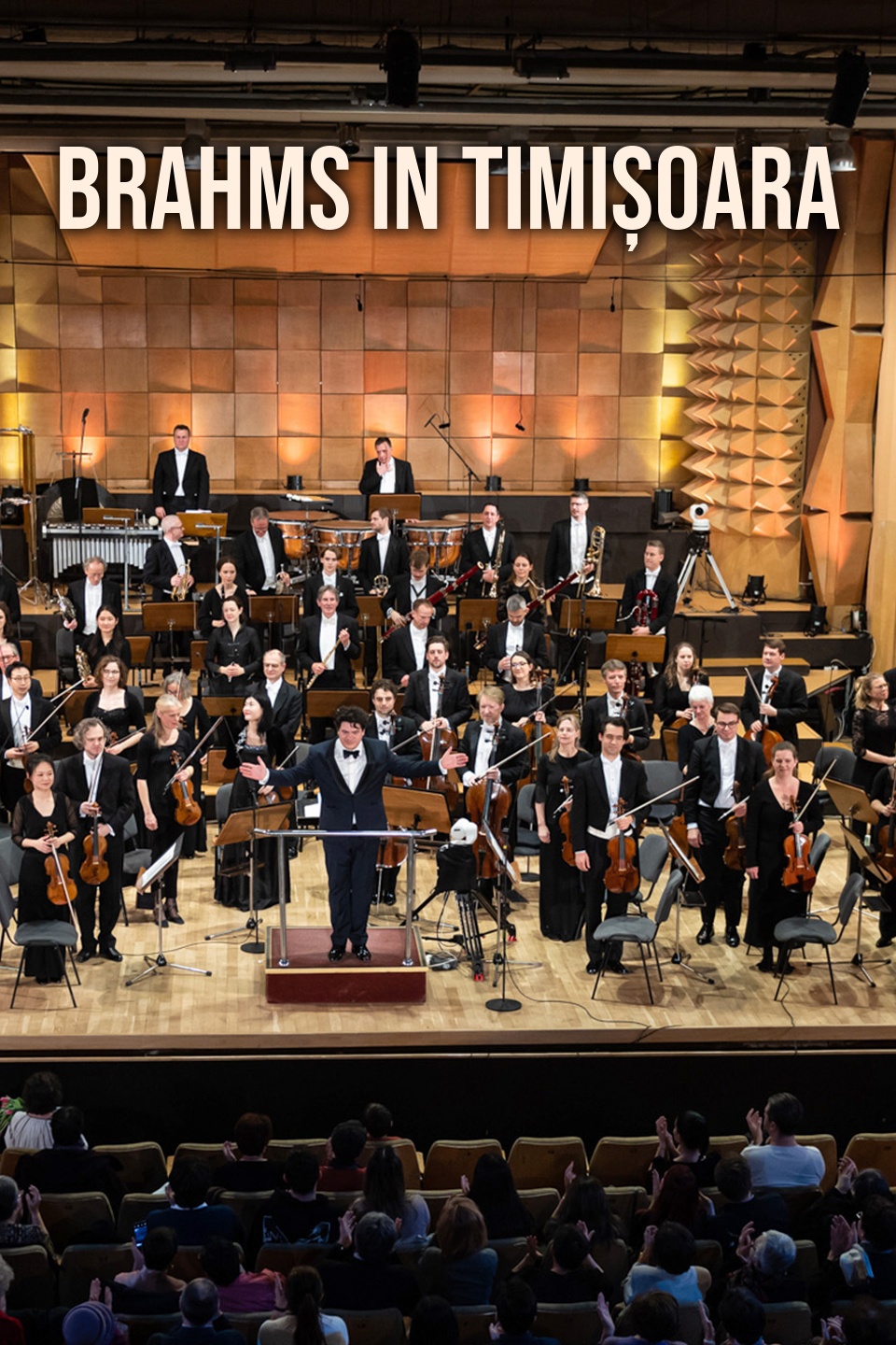 Brahms in Timișoara