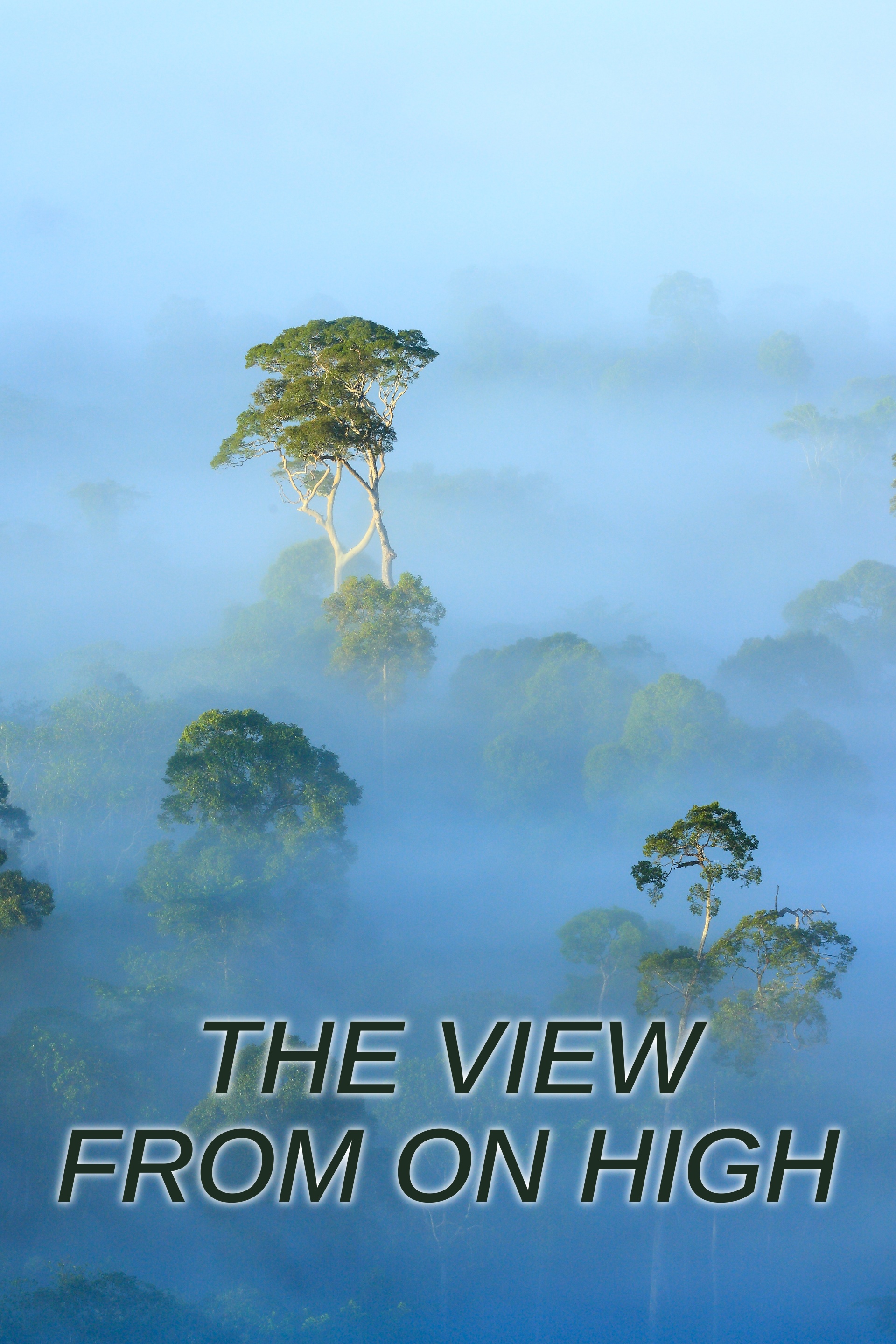 The View From on High