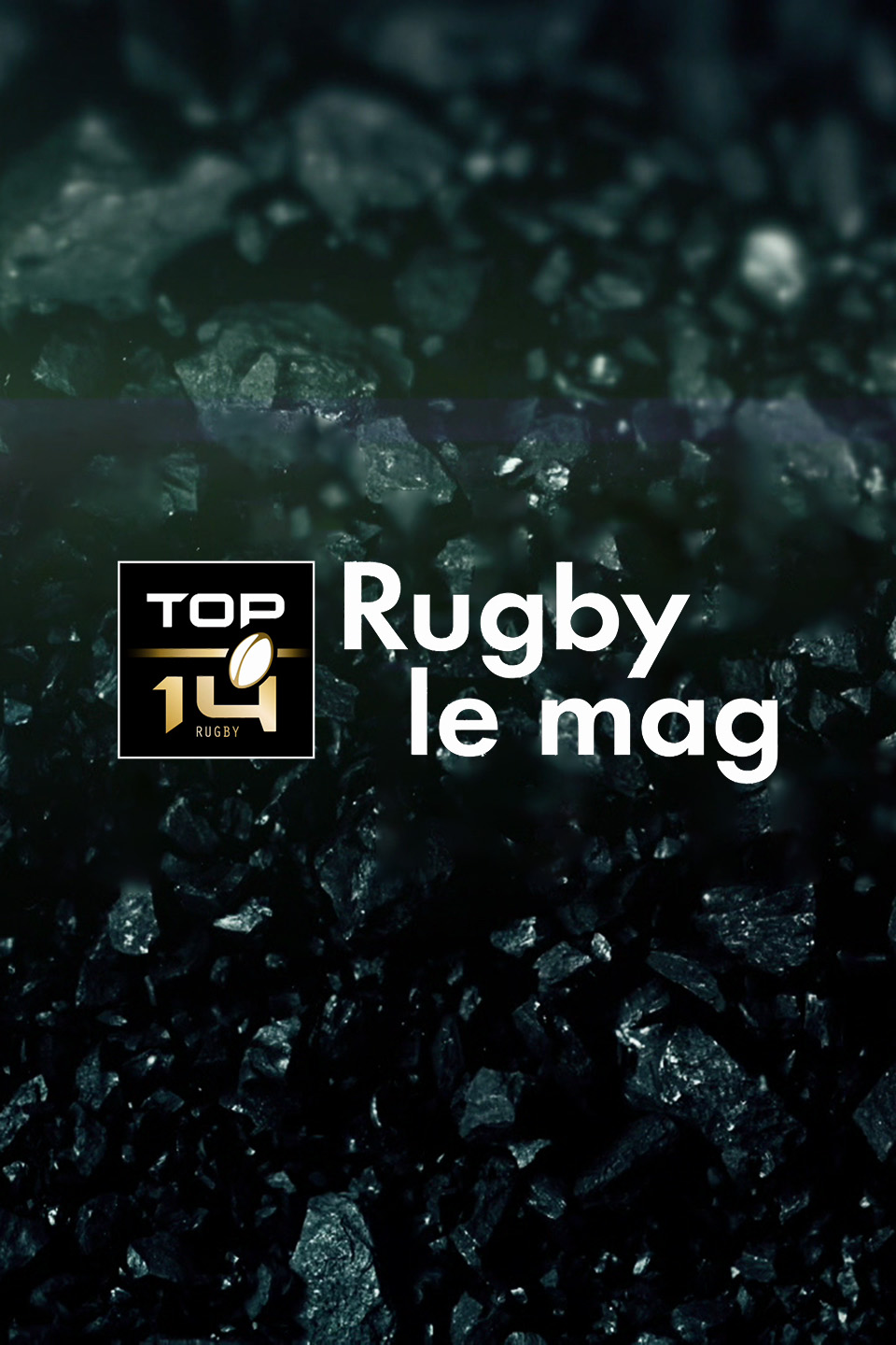 Top 14 rugby le mag