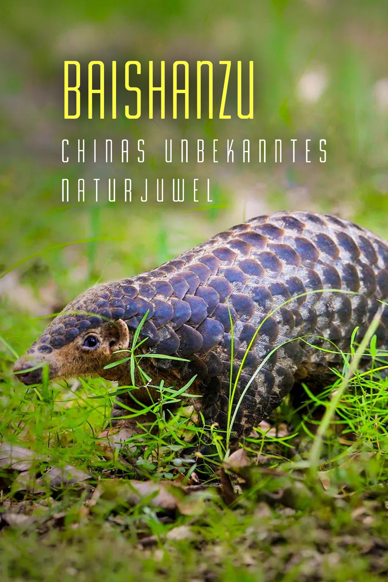 Baishanzu - Chinas unbekanntes Naturjuwel