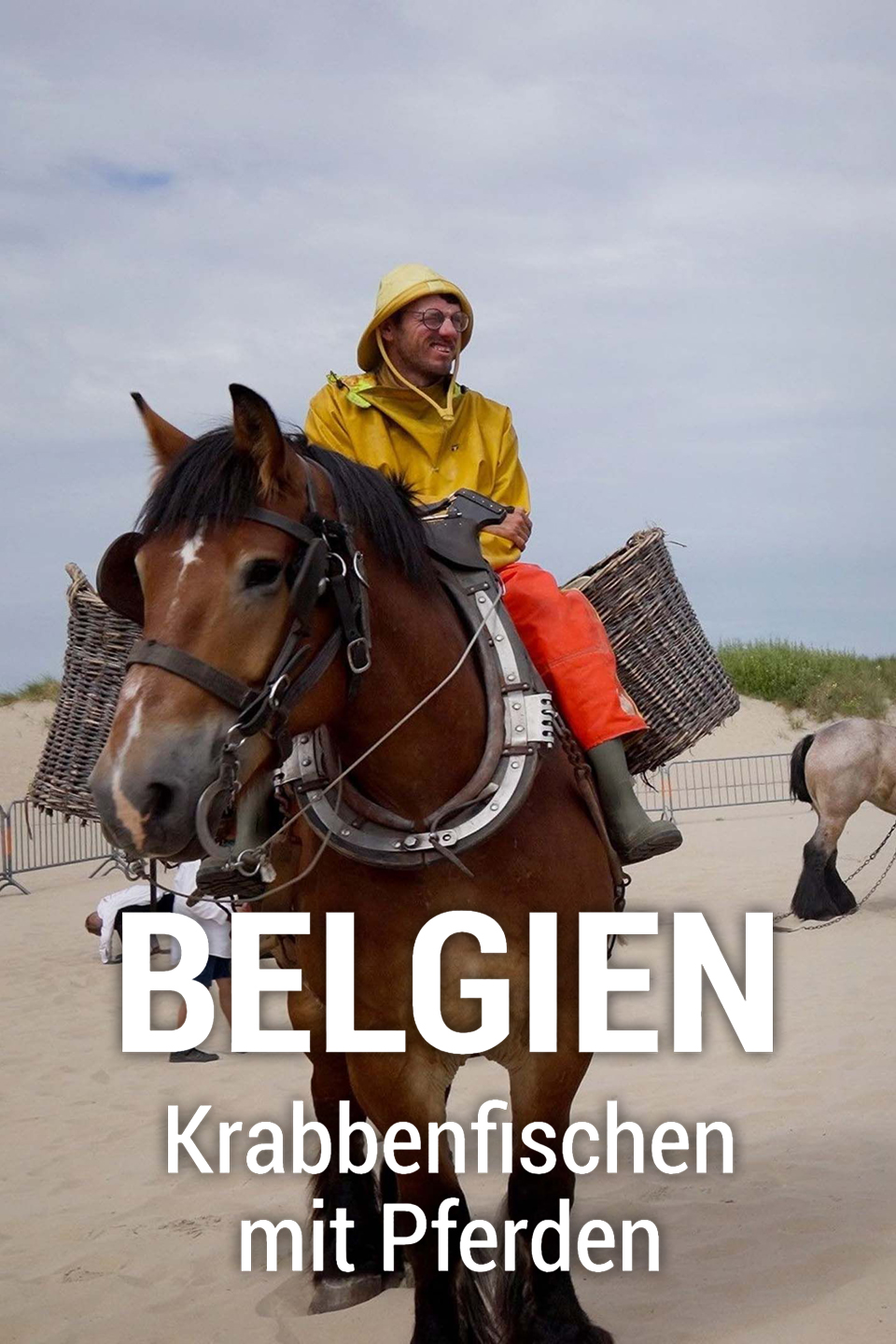 Belgien - Krabbenfischen mit Pferden