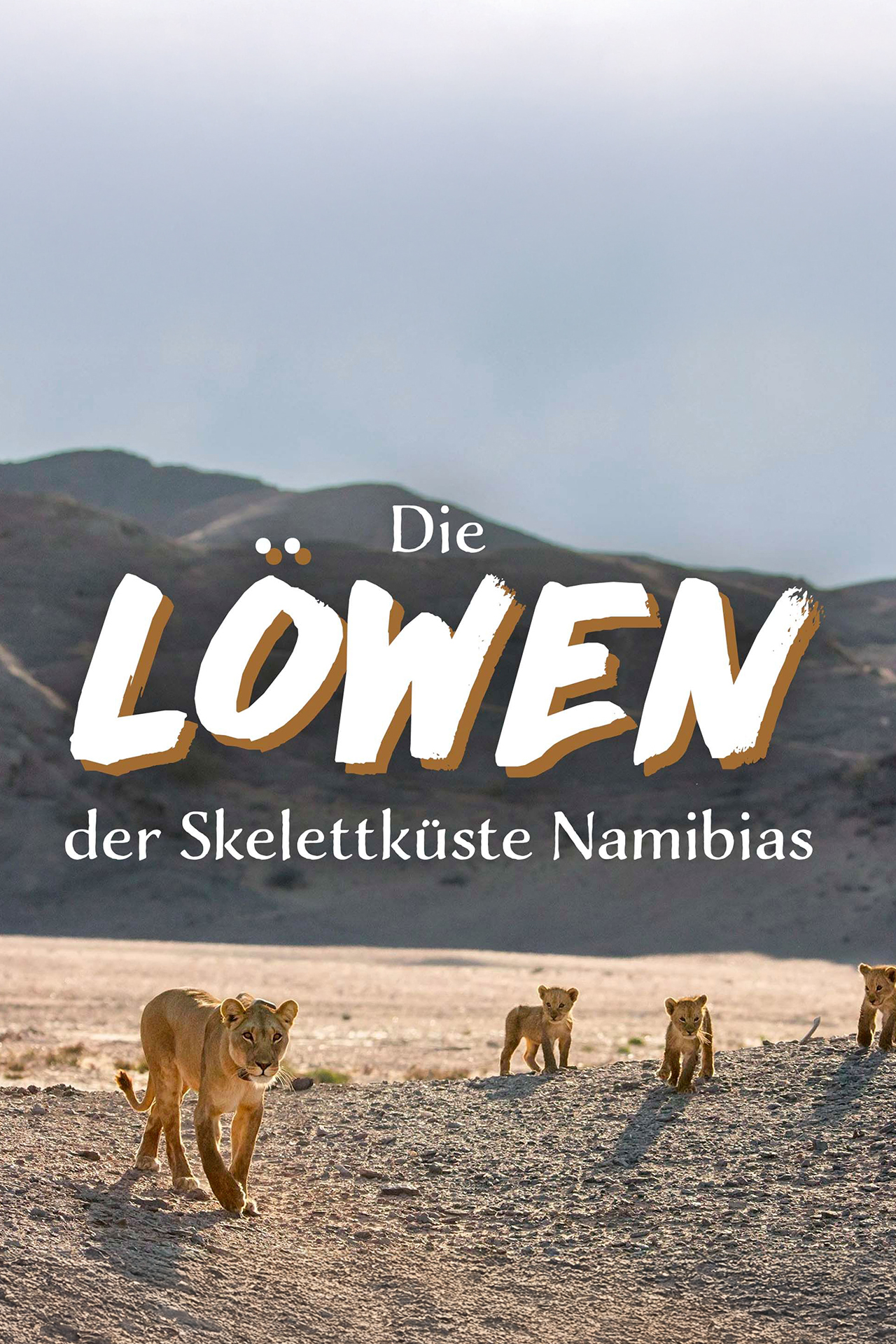 Geister der Wüste - Die Löwen der Skelettküste Namibias