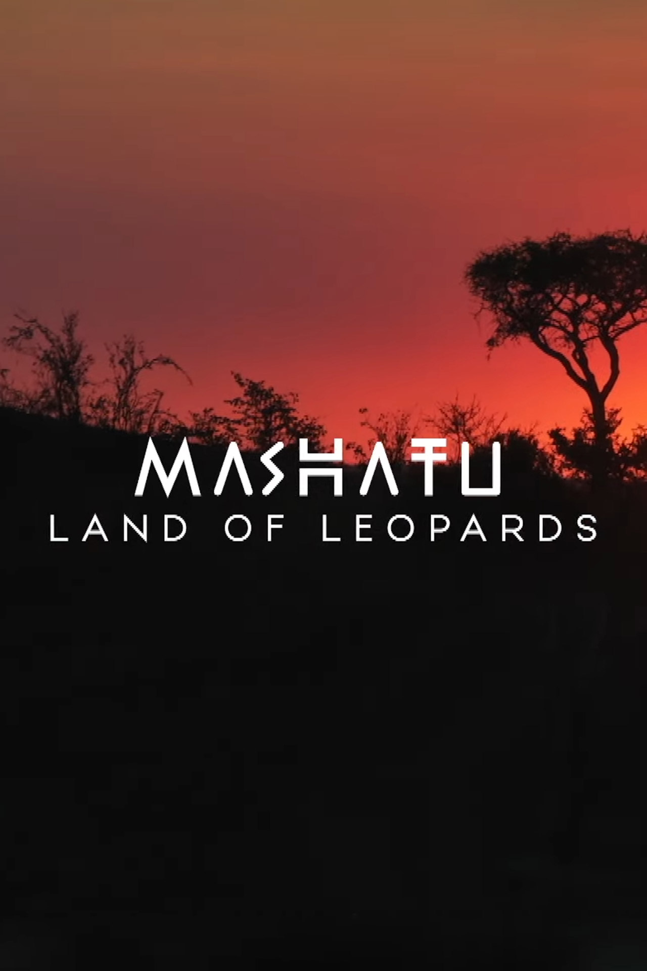 Mashatu: Land of Leopards