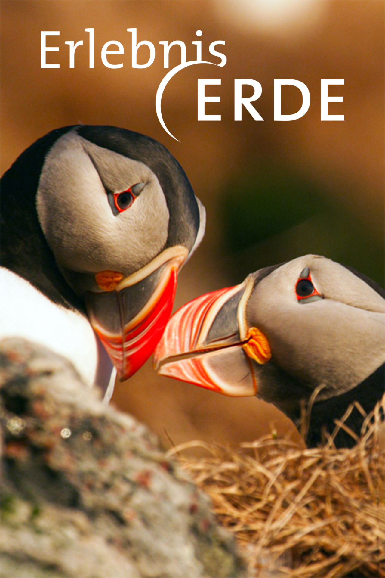 Erlebnis Erde
