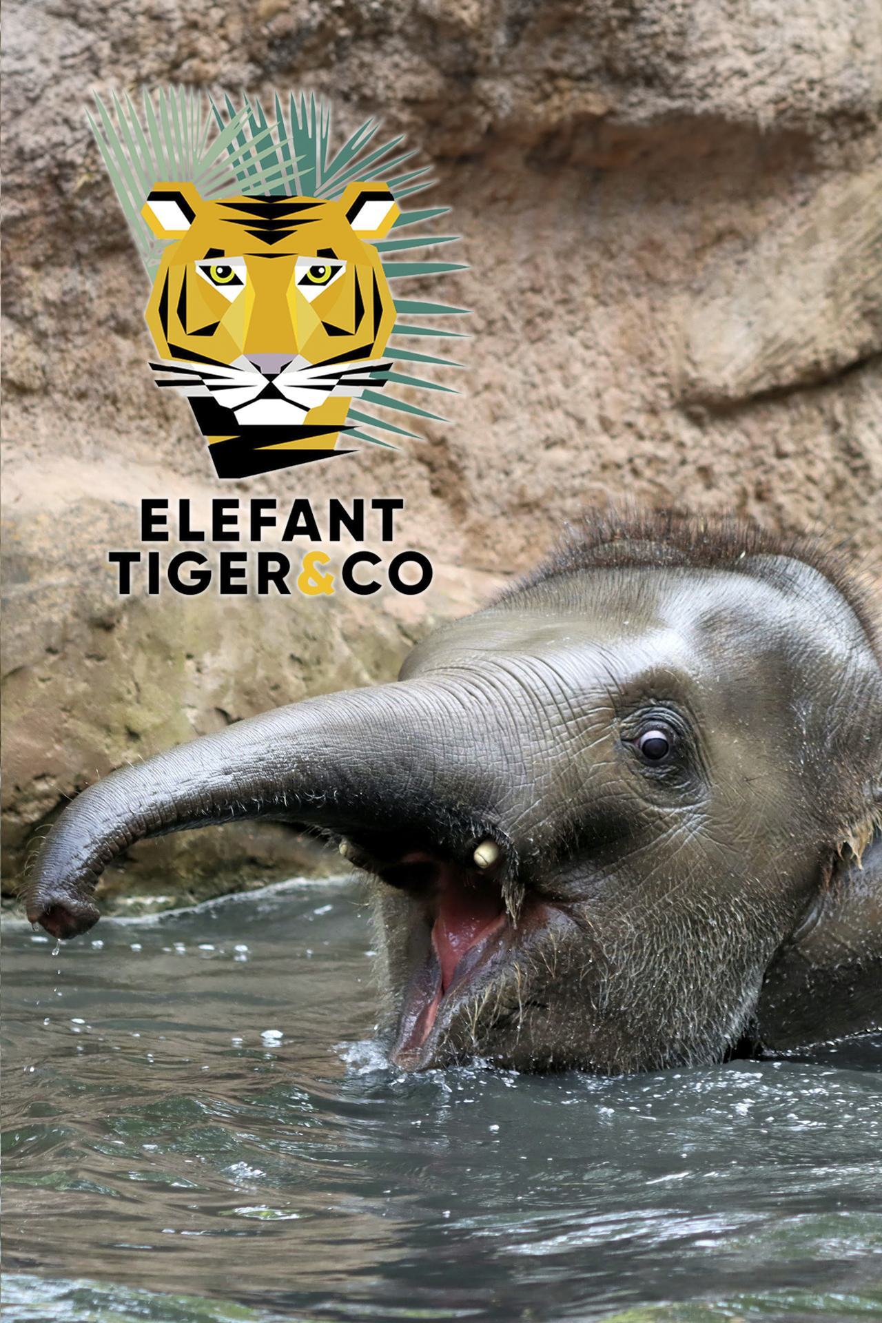 Elefant, Tiger & Co