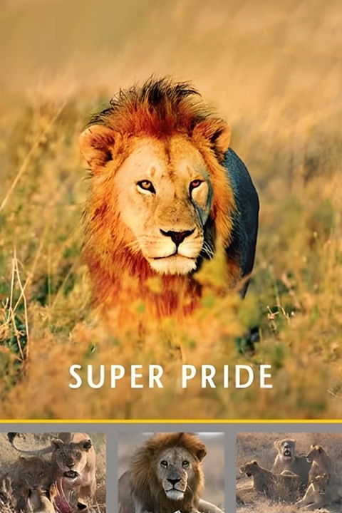 Superpride