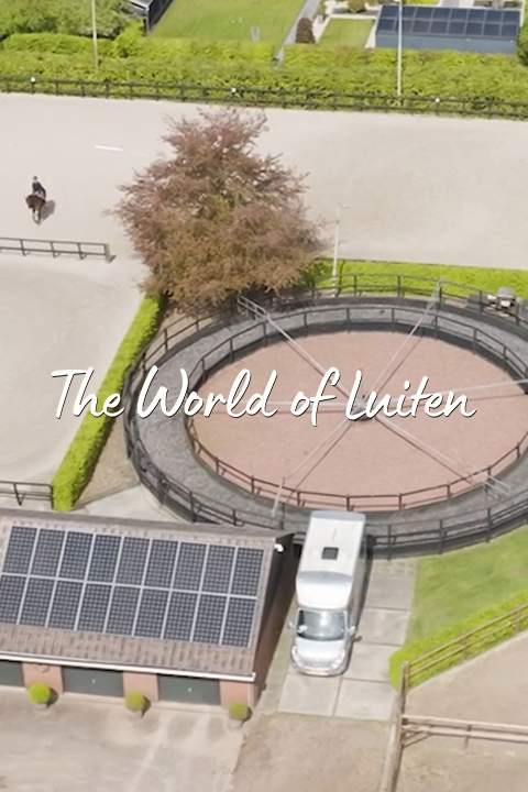 De Wereld Van Luiten