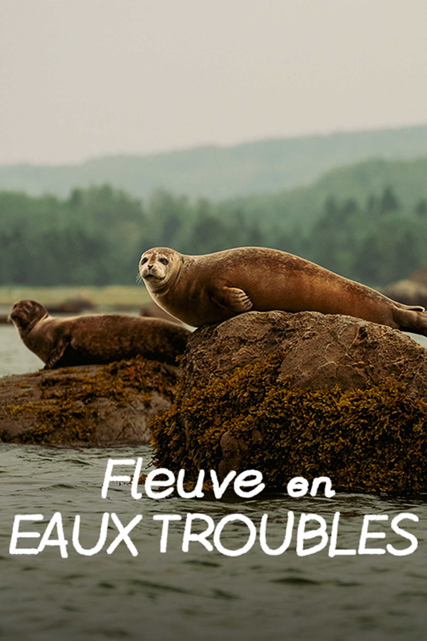 Fleuve en eaux troubles