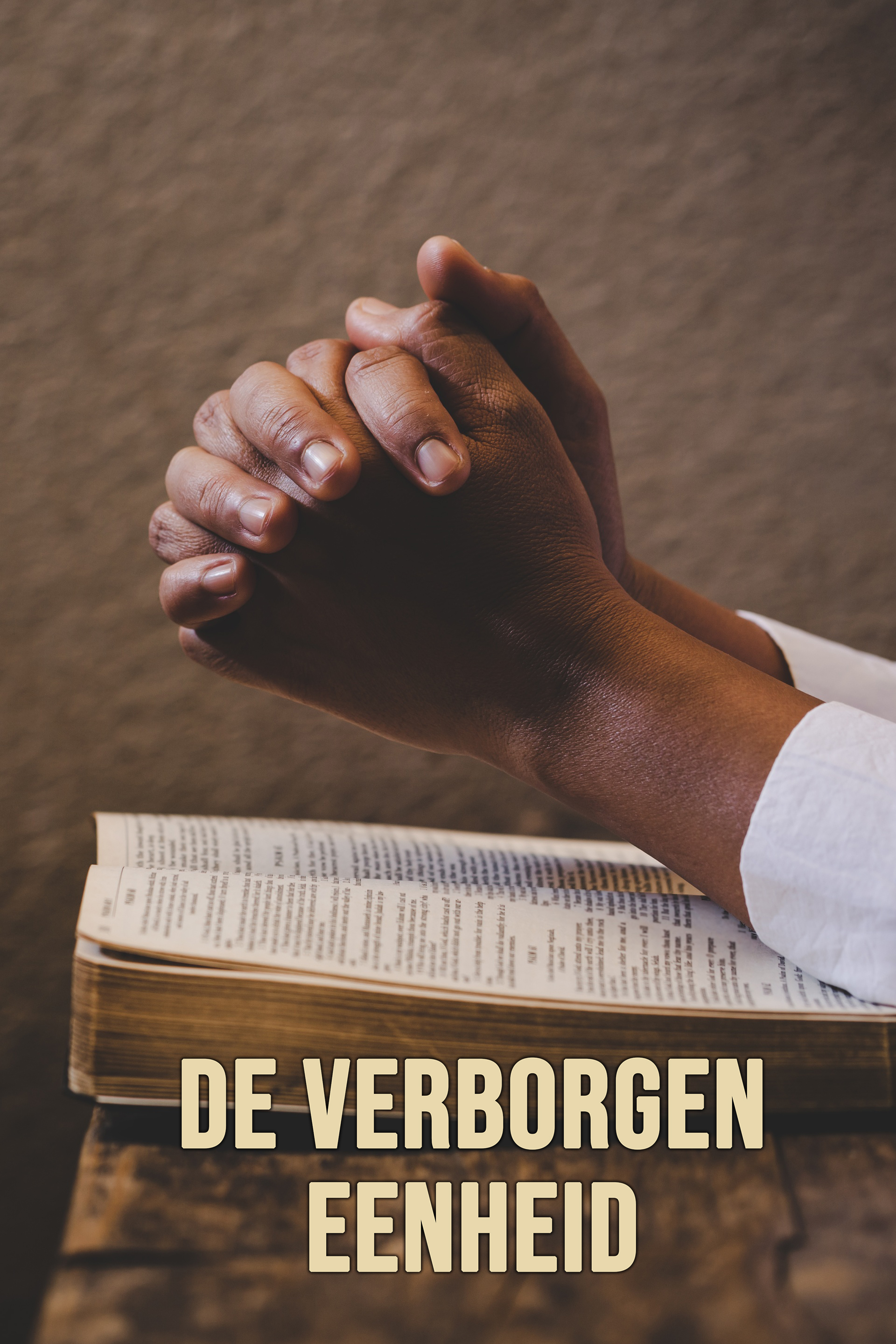 De verborgen eenheid