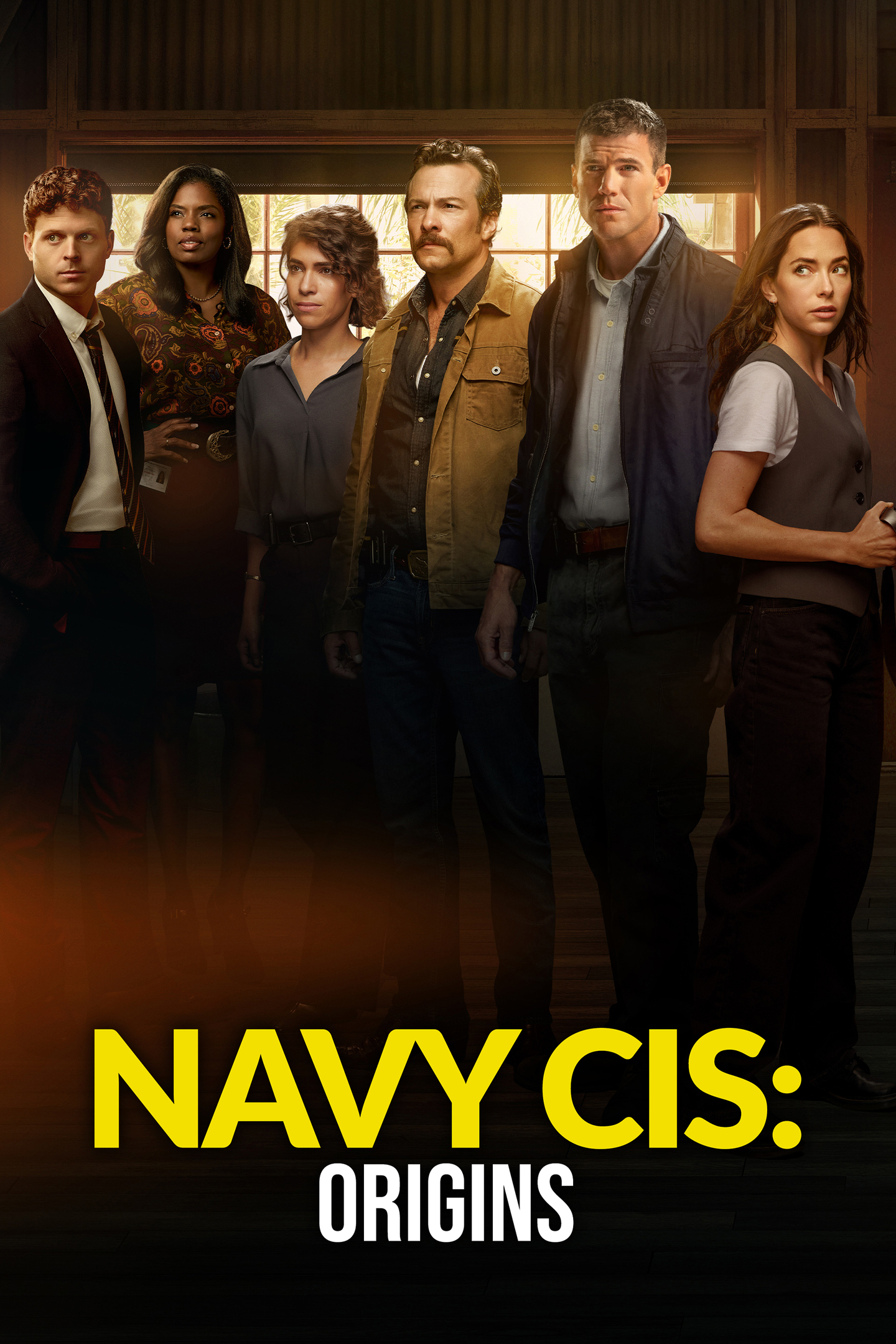 Navy CIS: Origins