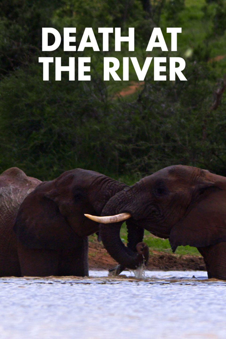 Death at the River