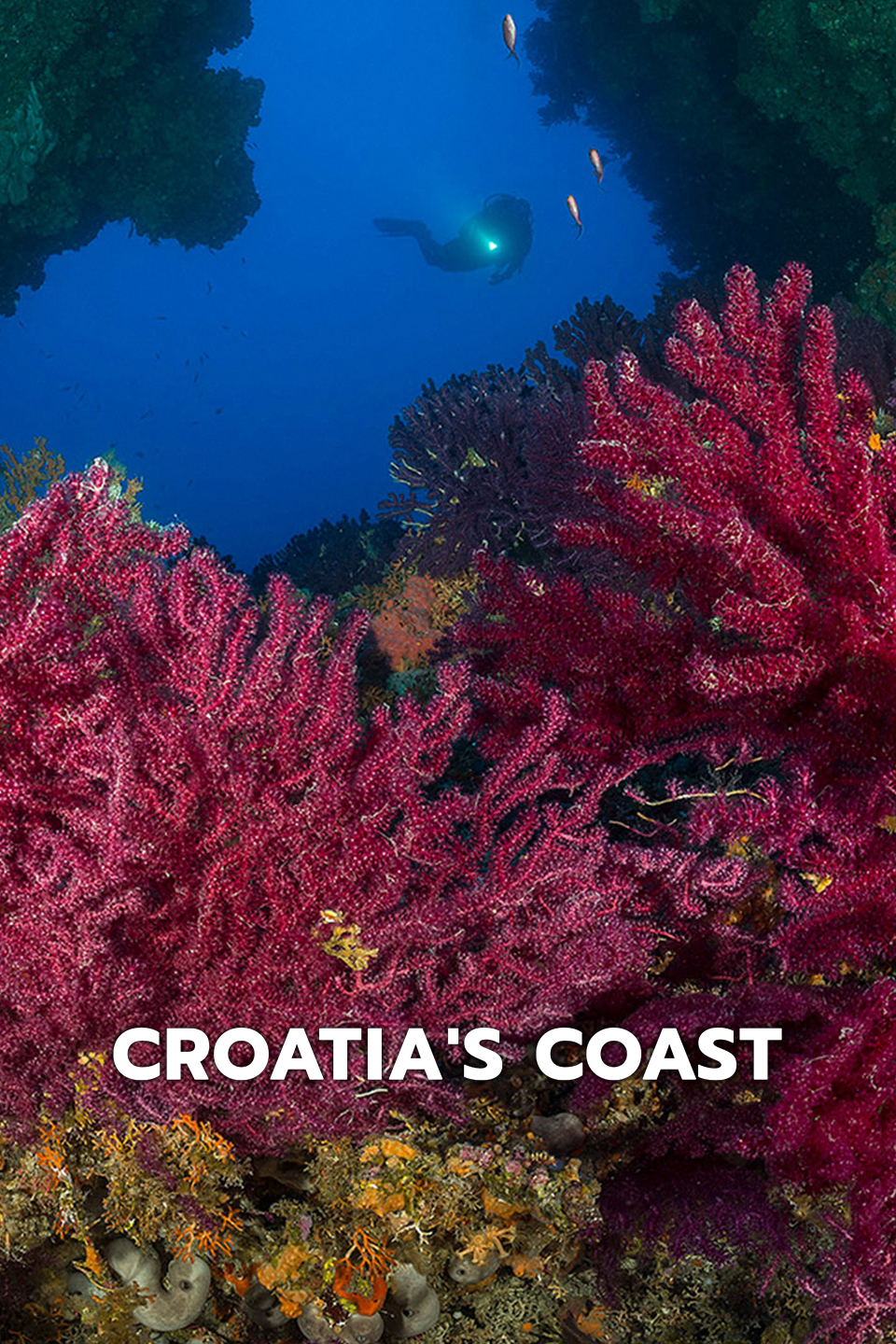 Croatias Coast - Endless and Wild