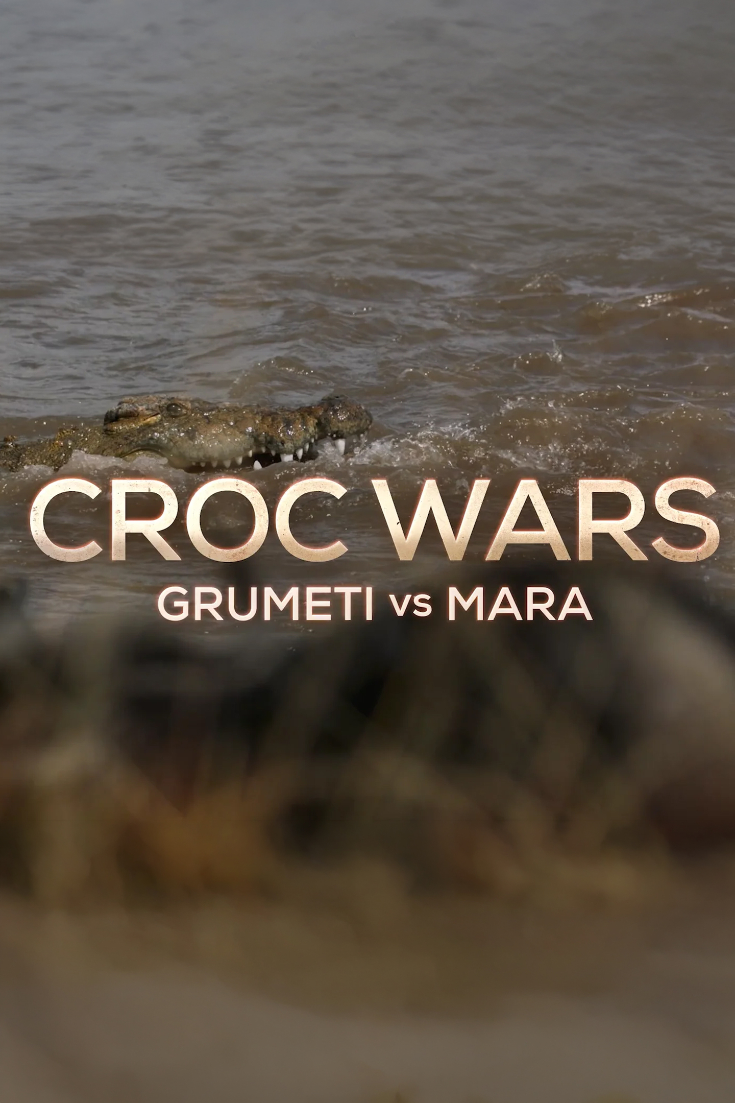 Croc Wars: Grumeti Vs Mara