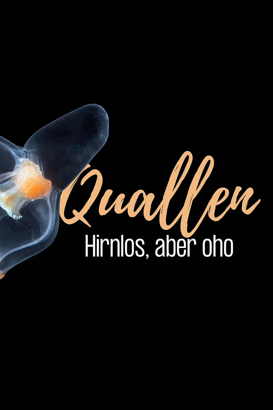 Quallen Hirnlos, aber oho