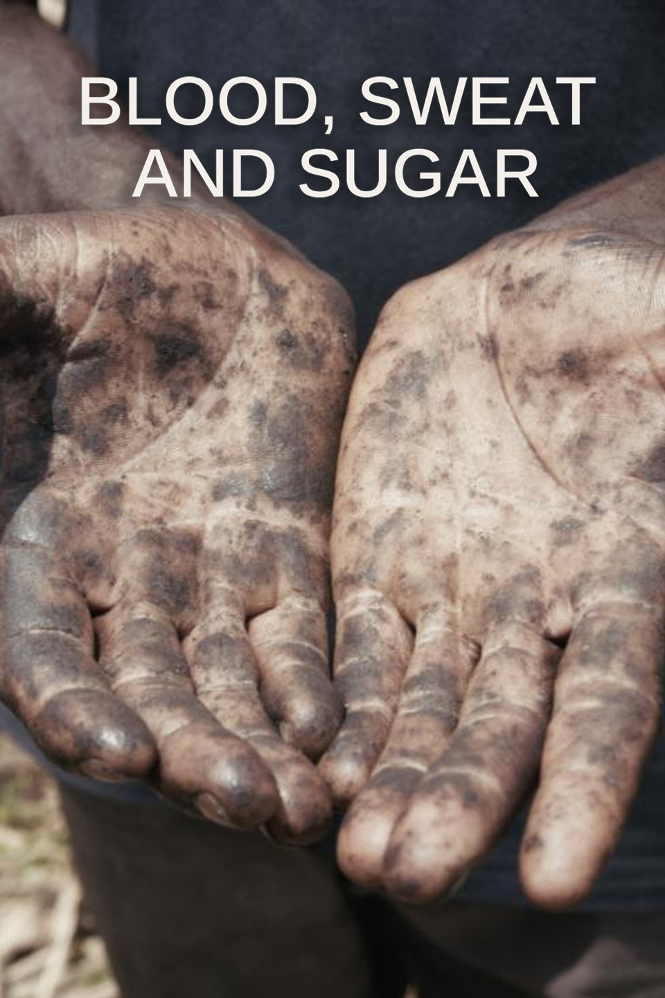 Blood, Sweat and Sugar