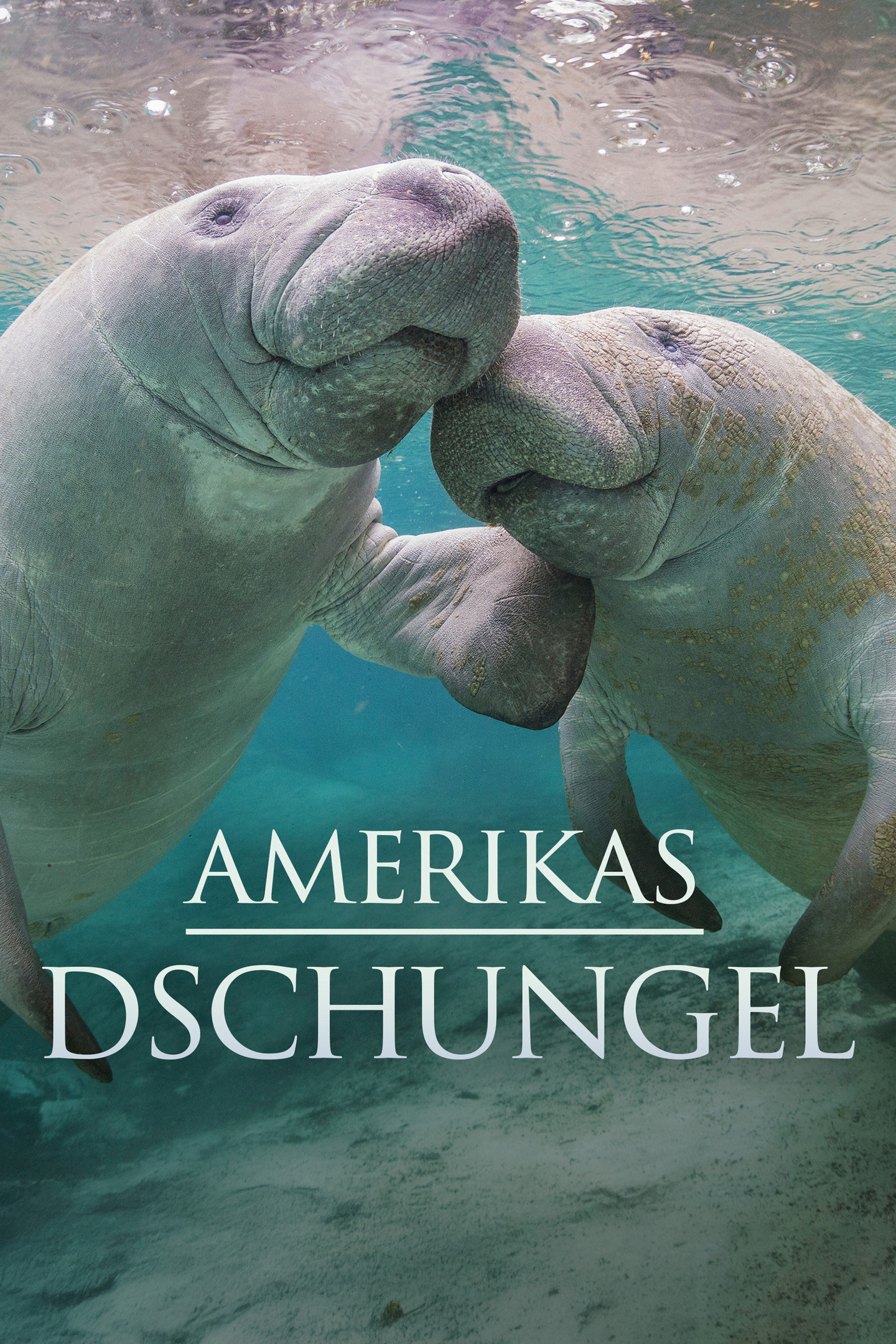 Amerikas Dschungel