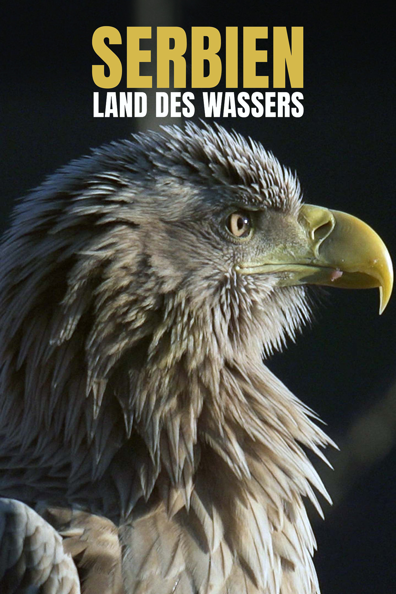 Serbien - Land des Wassers