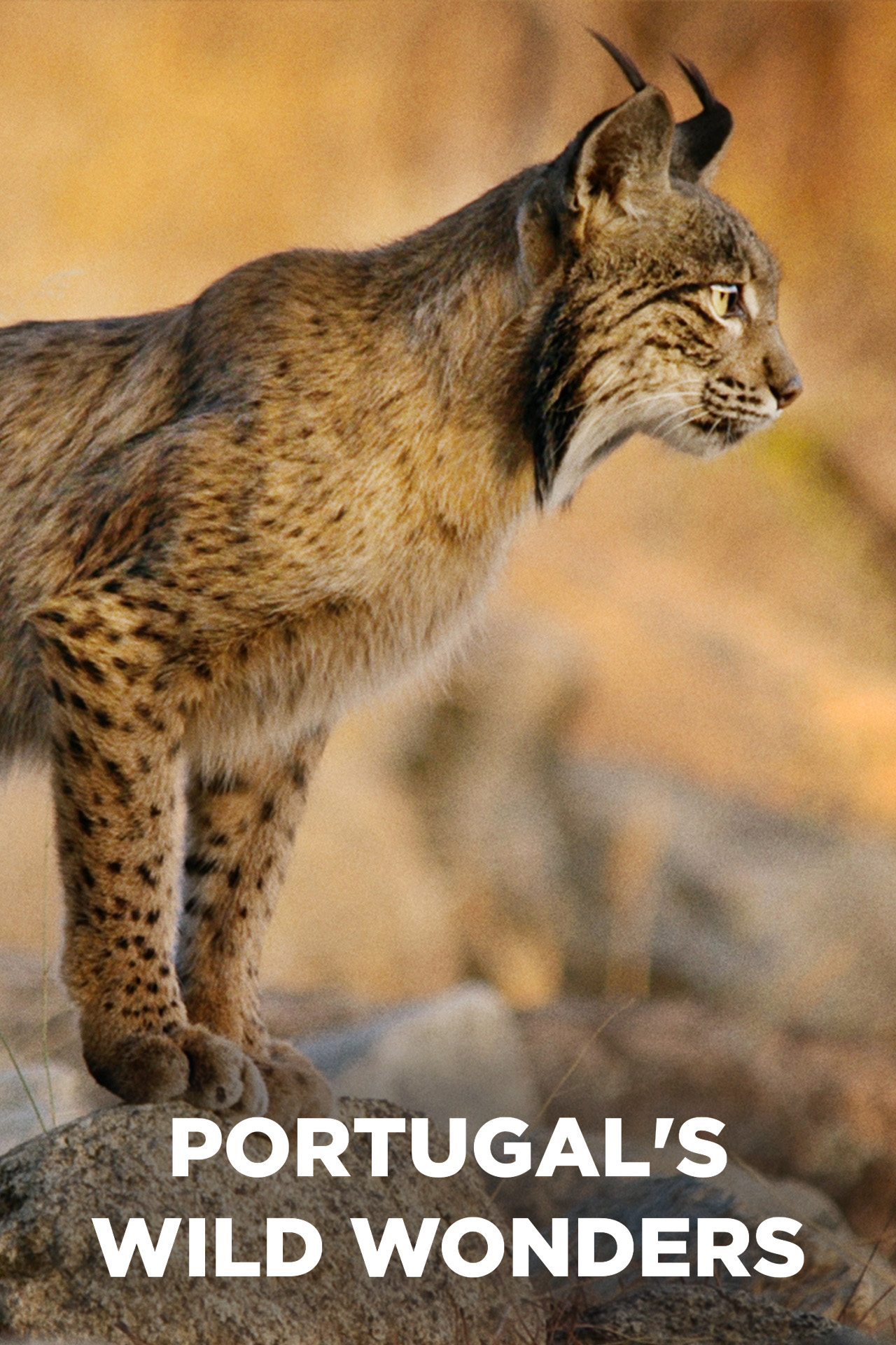 Portugal's Wild Wonders