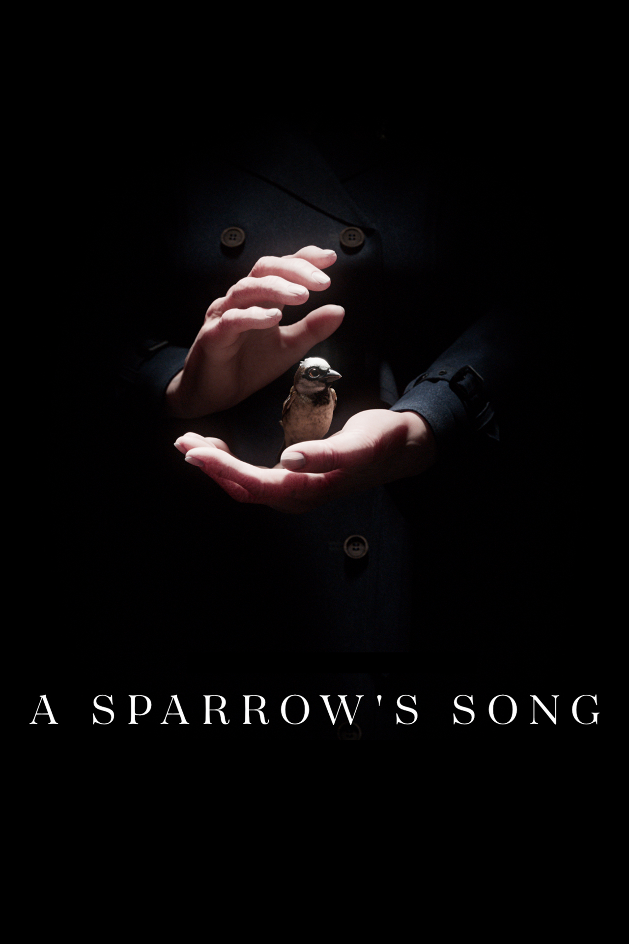 A Sparrow's Song