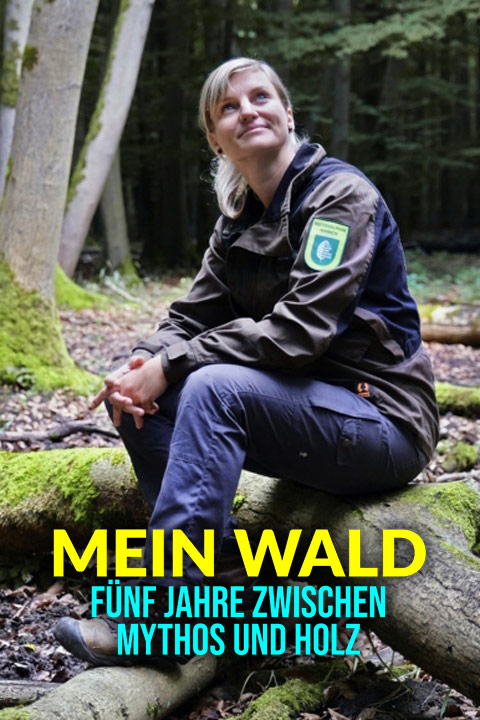 Mein Wald - Fünf Jahre zwischen Mythos und Holz