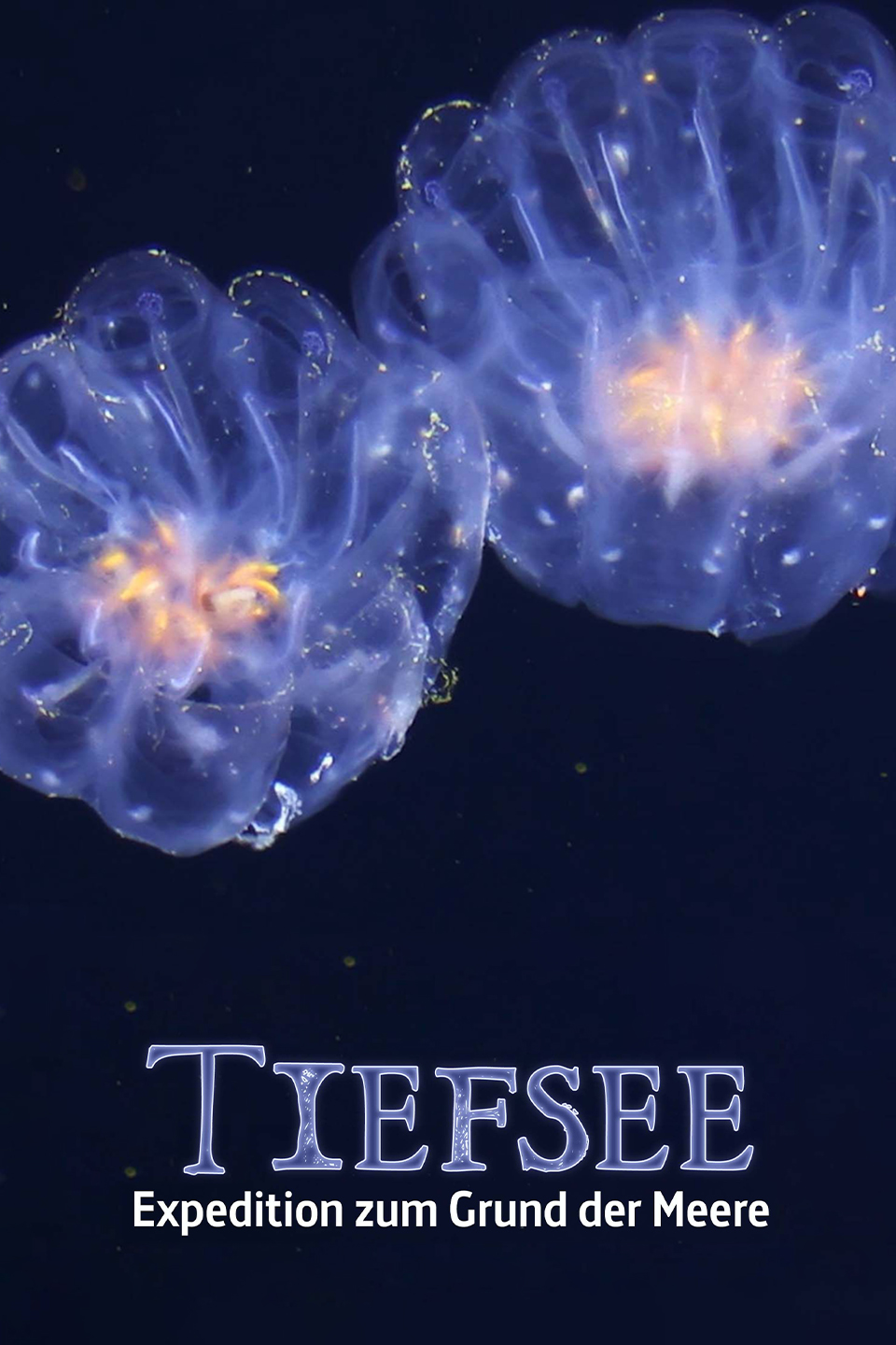 Faszination Tiefsee - Expedition zum Grund der Meere