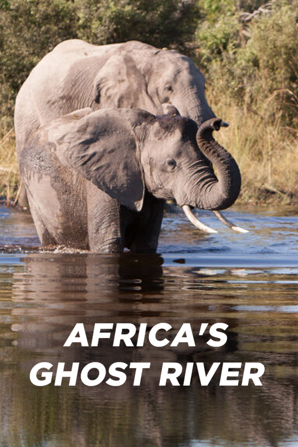 Africa's Ghost River