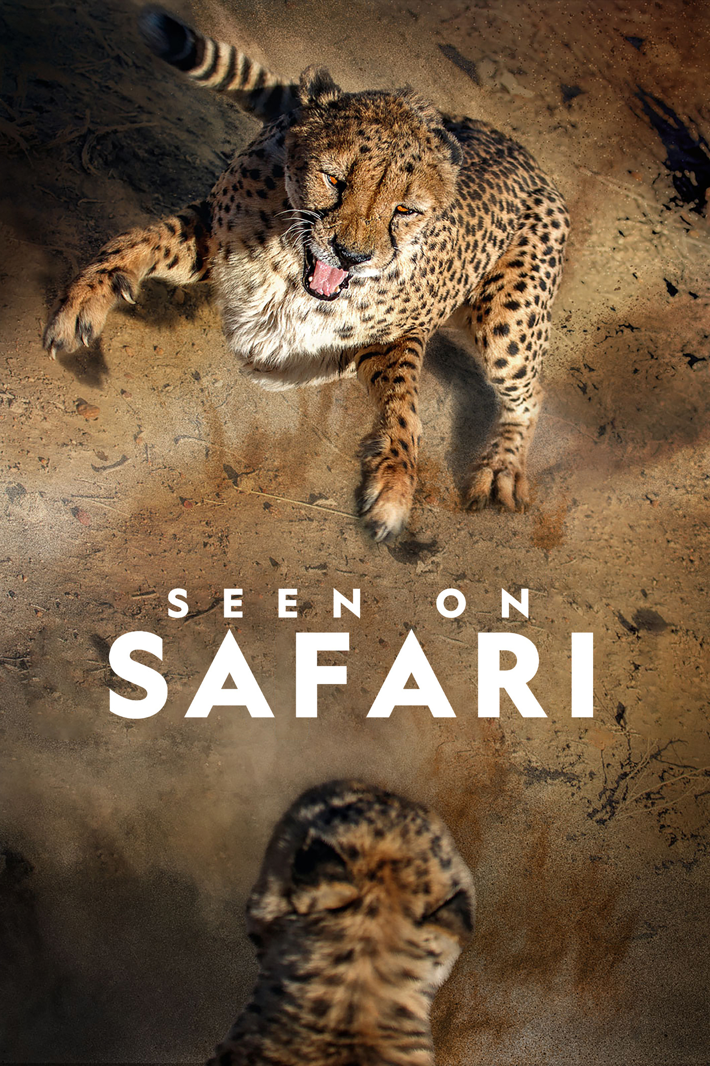 Seen on Safari