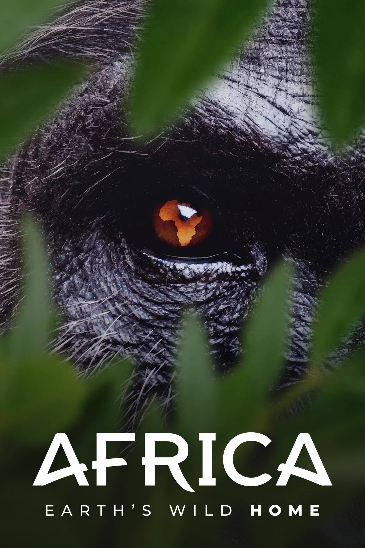 Africa Earth's Wild Home