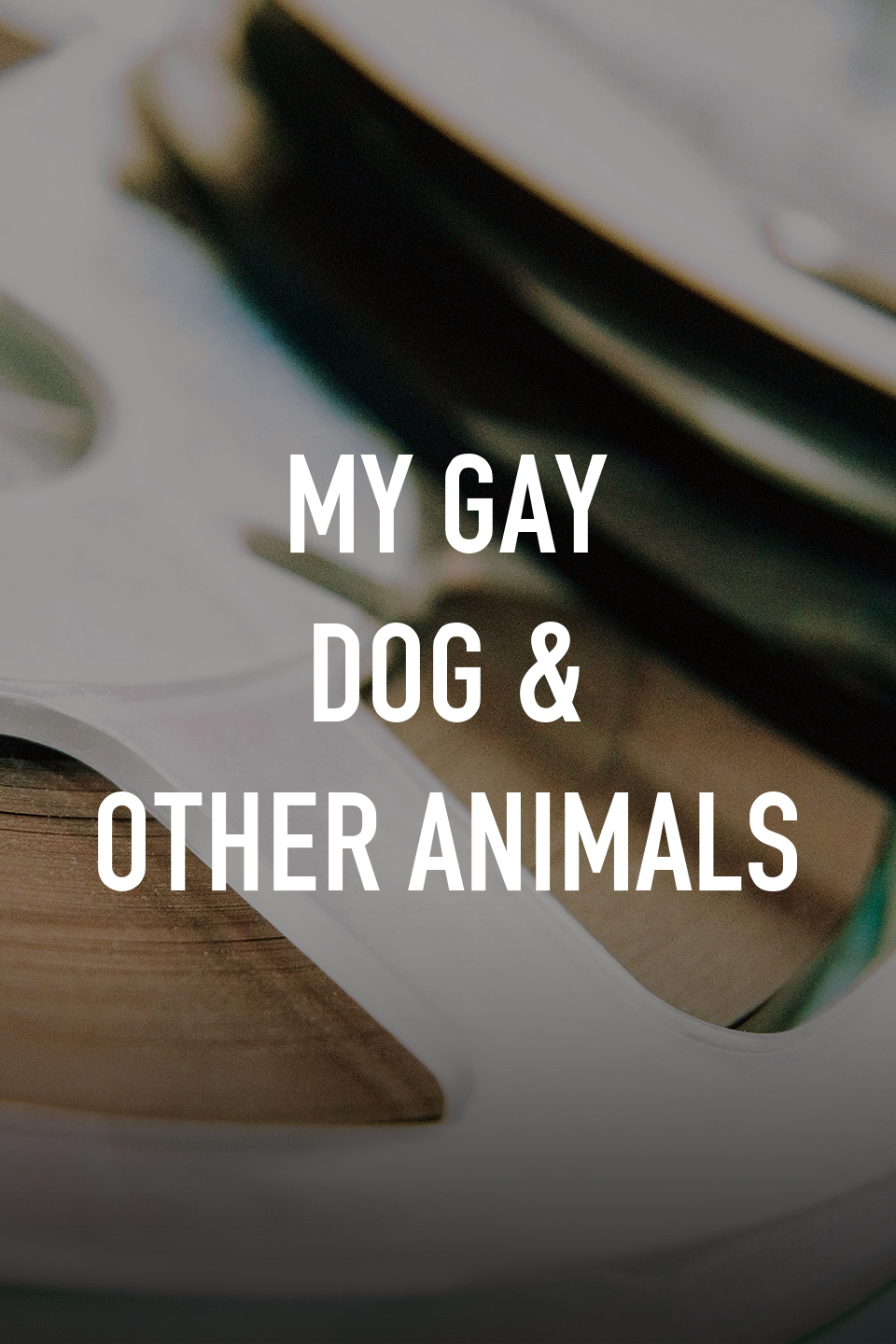 My Gay Dog & Other Animals