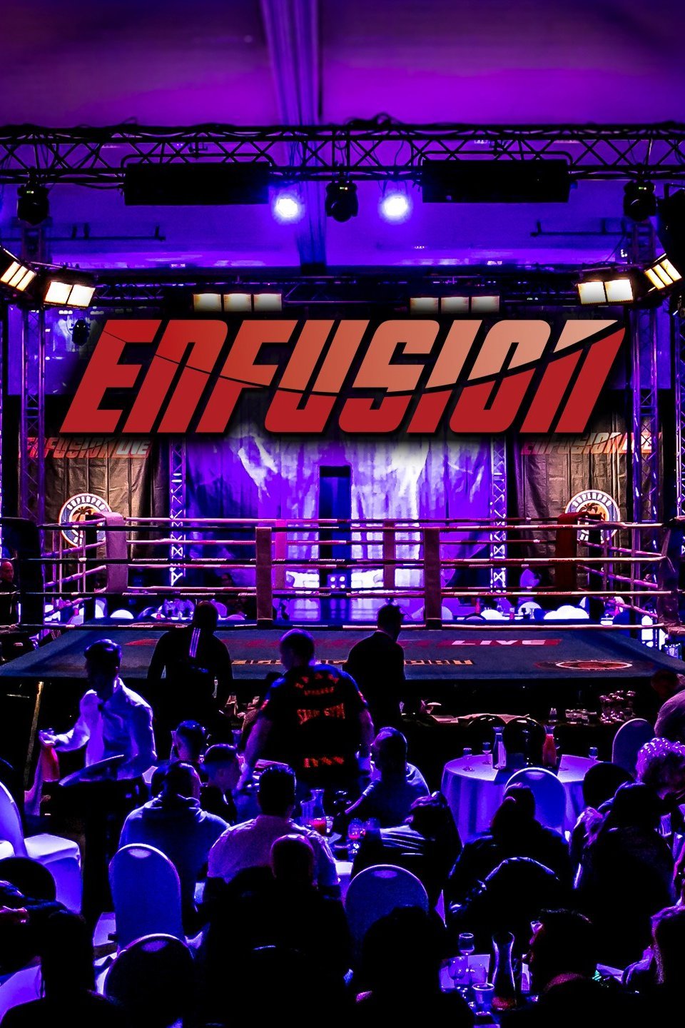 Enfusion