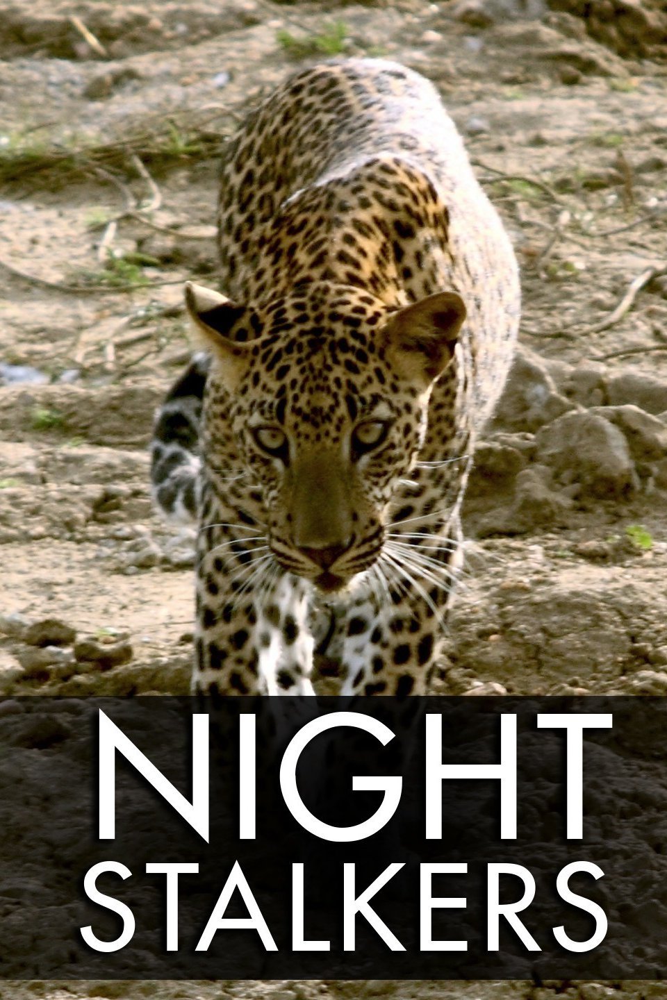 Night Stalkers