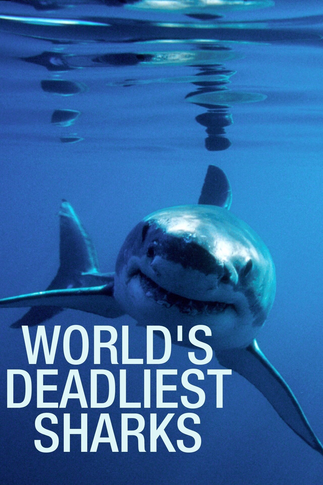 World's Deadliest Sharks